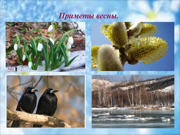 Приметы весны для дошкольников
