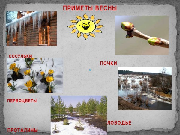 Признаки весны для дошкольников