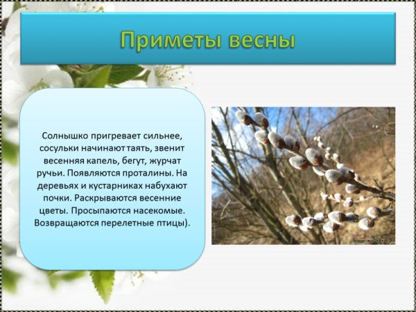 Весна презентация