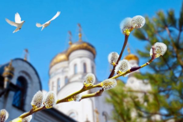 Смоленский собор и сирень