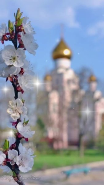 Весна Православие