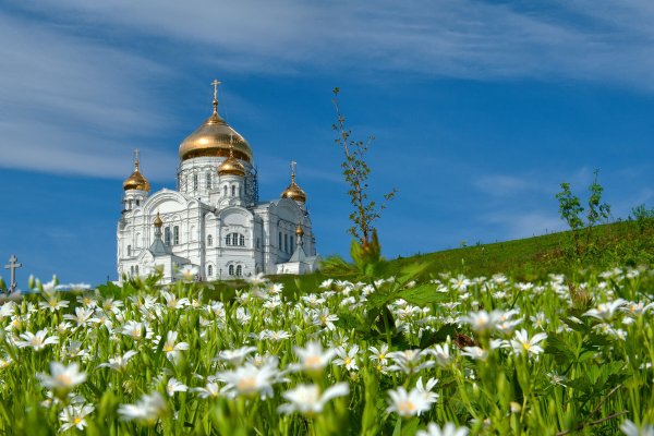 Храм Верба Суздаль