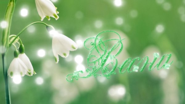 Футаж подснежники