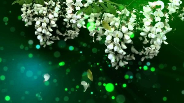 Весенние футажи