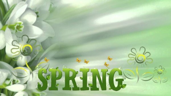 Футаж Весна пришла