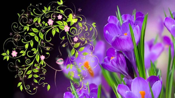 Футаж весенние цветы