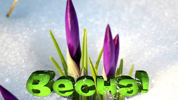 Весенний футаж