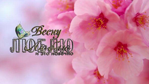 C праздником весны футаж