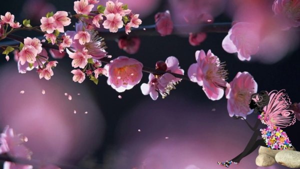 Весенние футажи