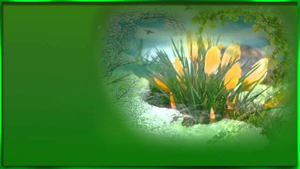 Весенний фон для видеомонтажа