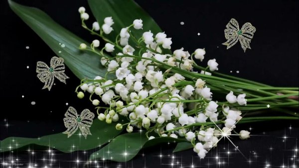 Видео футаж Весна