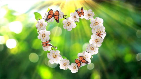 Весеннее настроение любовь