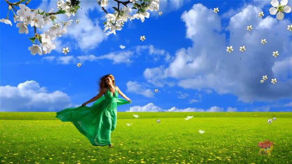 Видео футаж Весна