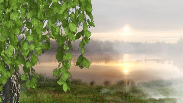 Футажи природа