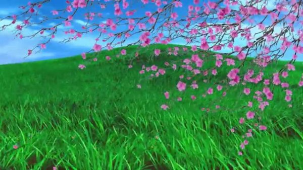 Гиф природа для видеомонтажа