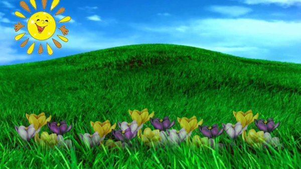 Весенний футаж