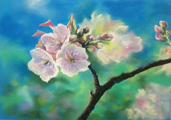 Цветущая яблоня Елена таткина