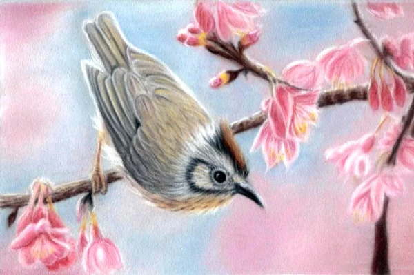 Весенние птицы пастелью