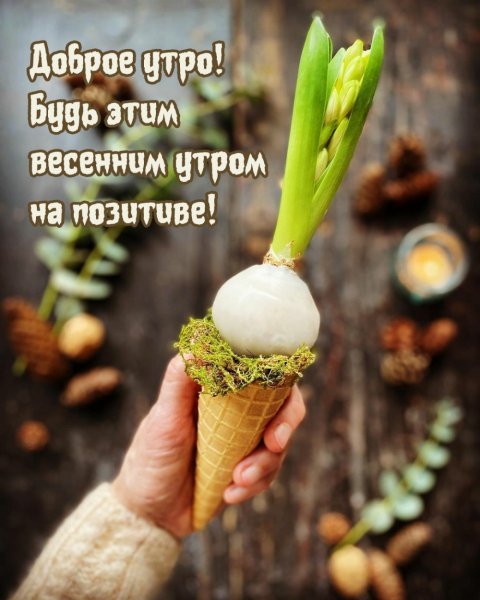 С добрым утром Весна прикольные