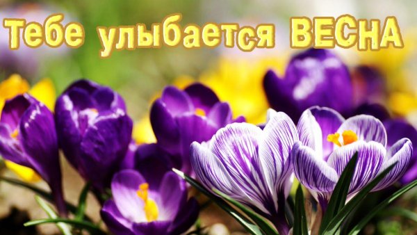 Радостные дети на природе