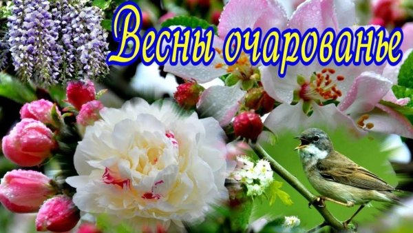 Ольга Шутова Санкт Петербург