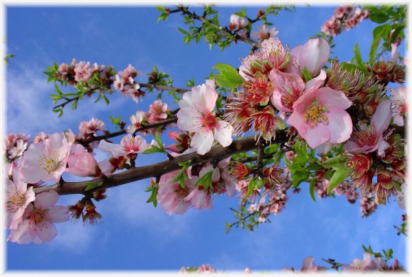 Девушка в образе лета