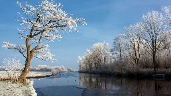 Март природа