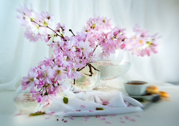 Утро Весна цветы