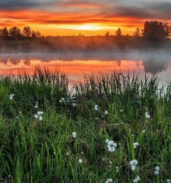 Весеннее утро