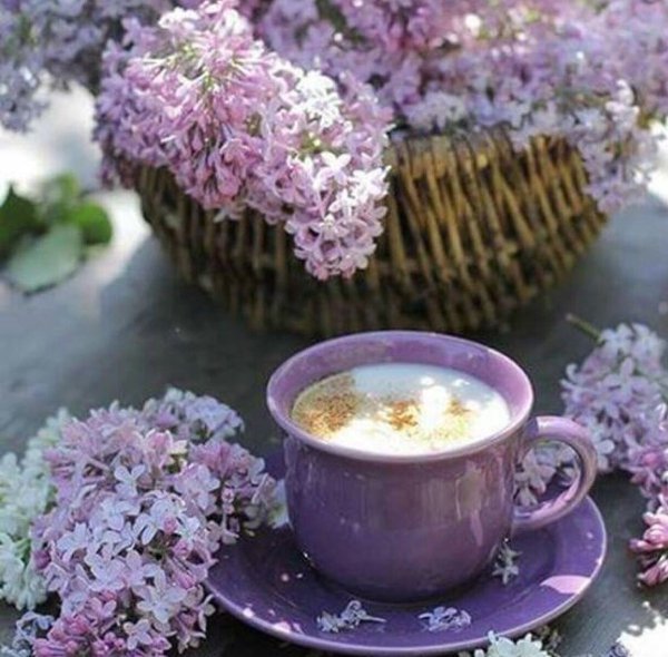 Прекрасного весеннего утра