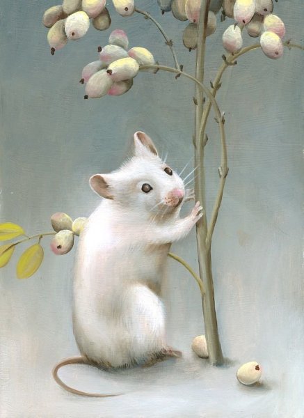 Крысы Эстетика