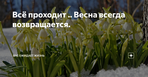 Весна всегда возвращается