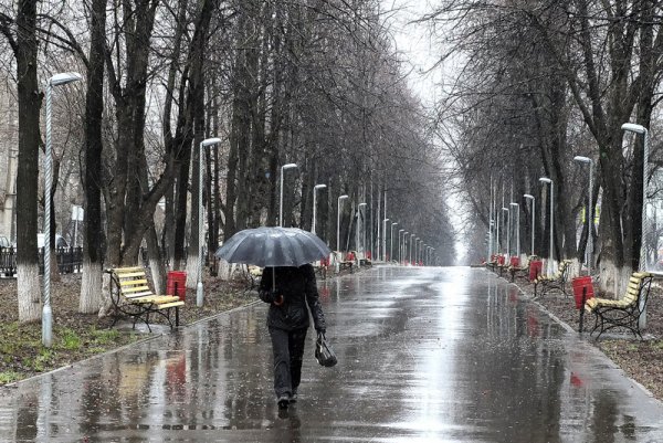 Дождливый апрель