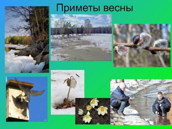 Приметы весны для дошкольников