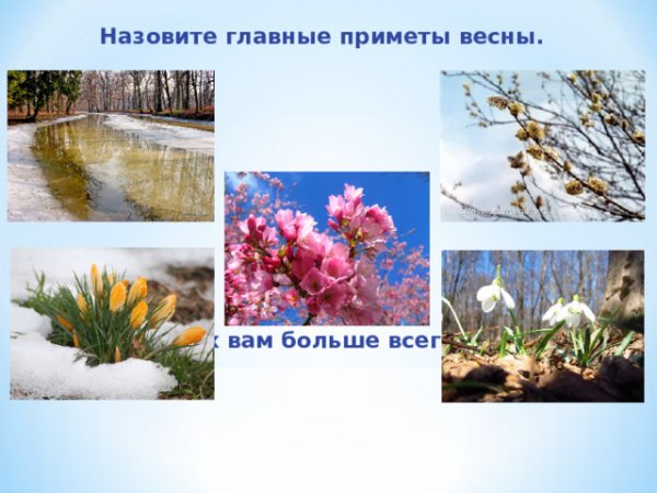 Признаки весны для дошкольников