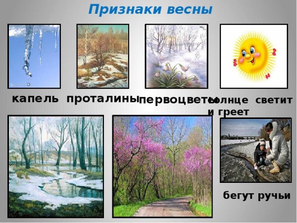 Признаки весны для дошкольников