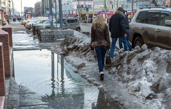 Эльвира Аркаим