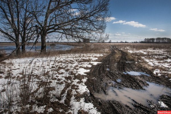Дорога ранней весной