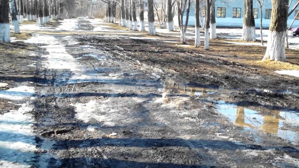 Ранняя Весна в Мичуринске