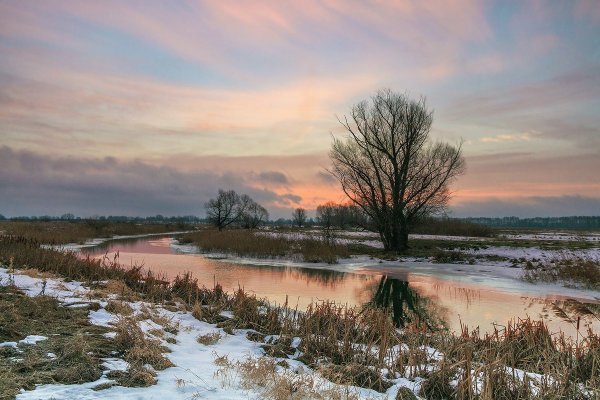 Река Вожа Рязанская область
