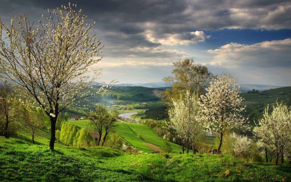 Природа весной