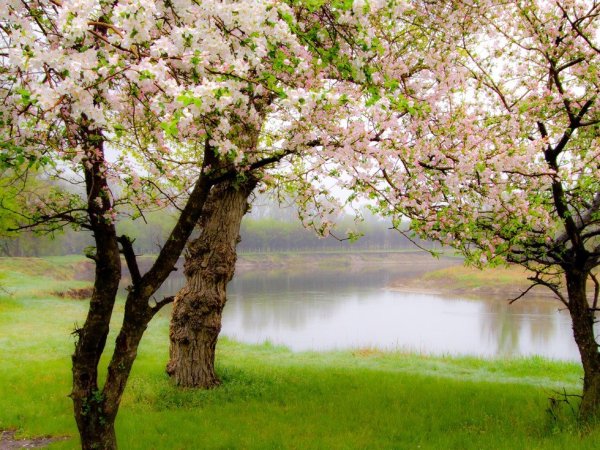 Весна в России