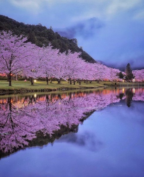 Весенняя природа