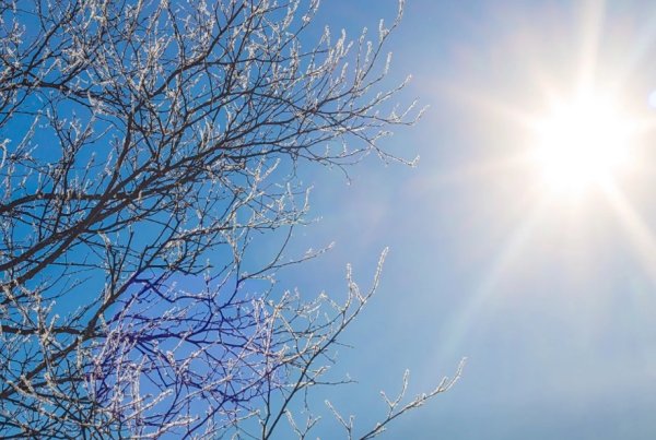 Солнечного морозного весеннего утра