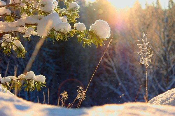 Снег и солнце