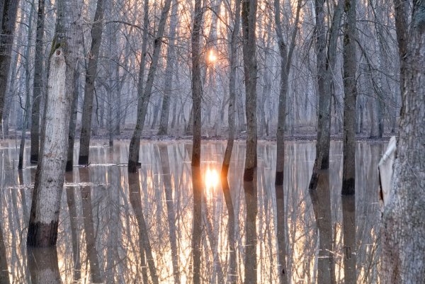 Разлив реки весной