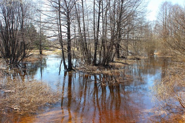 Разлив реки весной