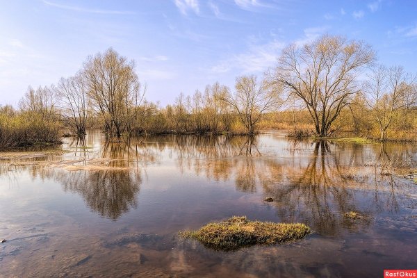 Половодье разлив реки весной