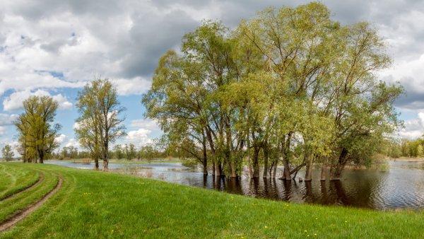 Весна разлив