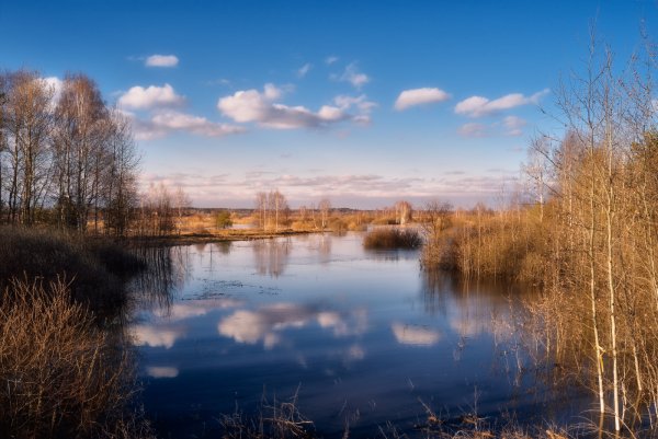 Весенний разлив фото
